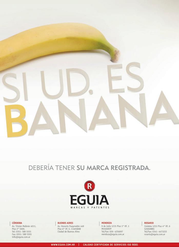 403889_232468320207747_290675810_n